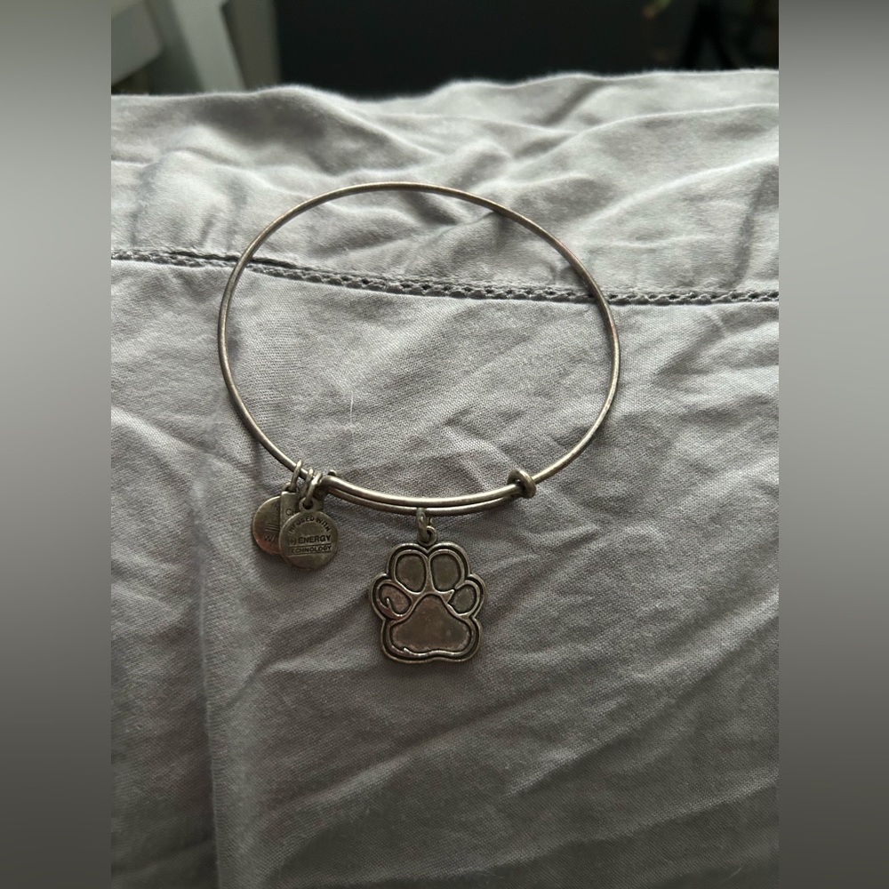 Alex and Ani Bracelet